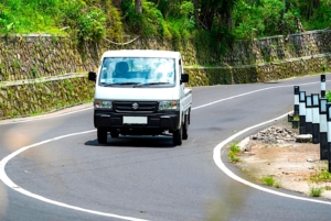 PENUHI PERMINTAAN KENDARAAN NIAGA BAGI UMKM HINGGA PROGRAM NASIONAL, NEW CARRY RAIH KESTABILAN PASAR